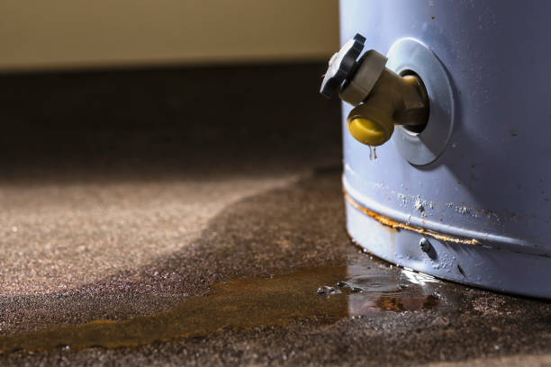 Best Carpet water damage restoration  in Kentland, IN