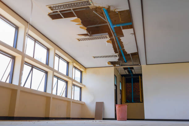 Best Emergency water damage restoration  in Kentland, IN