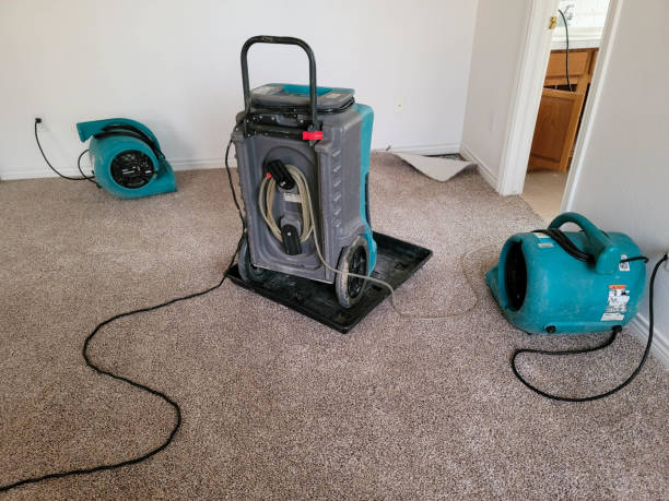 Best Water damage restoration near me  in Kentland, IN
