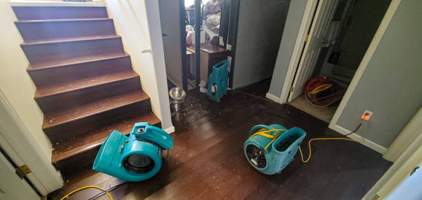 Best Emergency water damage restoration  in Kentland, IN