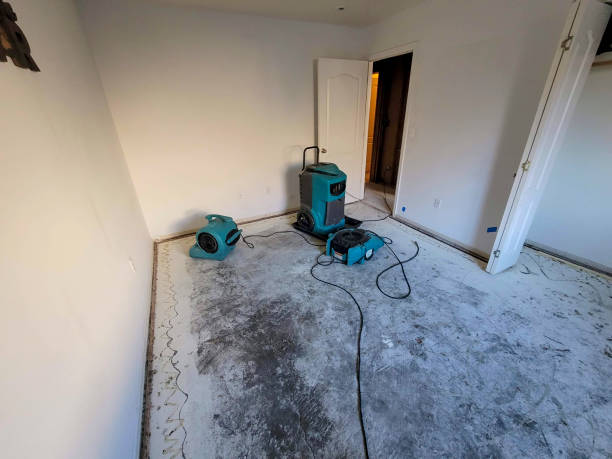 Best Professional water damage repair  in Kentland, IN