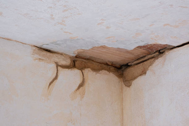 Best Water damage cleanup near me  in Kentland, IN