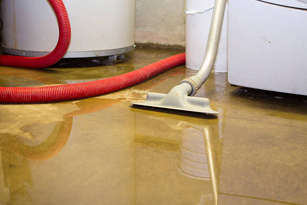 Best Flooded house restoration  in Kentland, IN