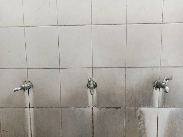 Best 24/7 water damage repair  in Kentland, IN